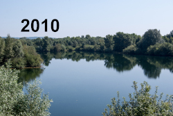 2010