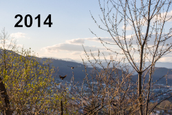 2014