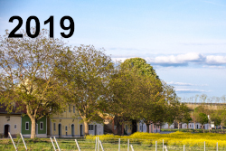2019