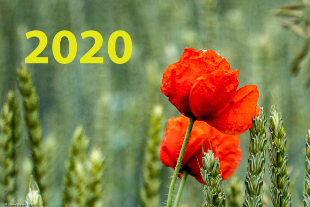 2020
